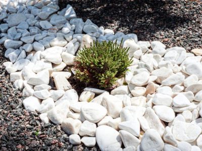 Różne typy kamienia ozdobnego do zastosowania w przydomowych ogrodach – przegląd, ceny i wykorzystanie