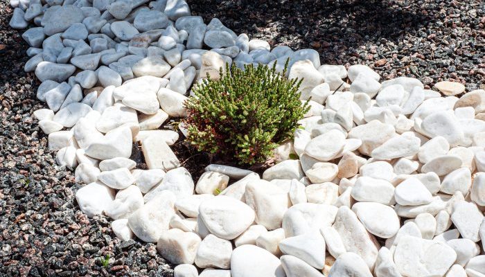 Różne typy kamienia ozdobnego do zastosowania w przydomowych ogrodach – przegląd, ceny i wykorzystanie