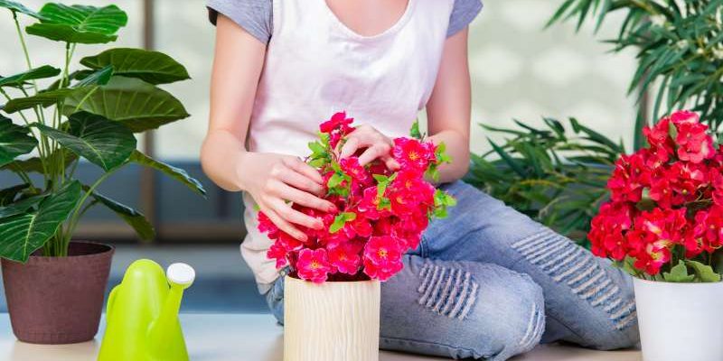 Metody propagacji azalii różaneczników – wskazówki i optymalny czas
