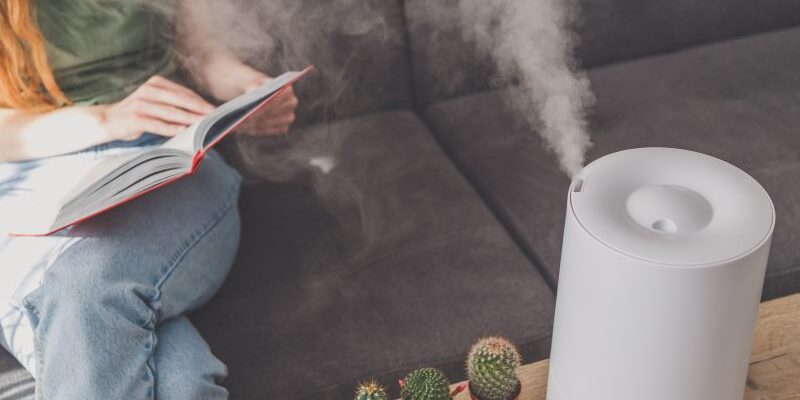 Jak utrzymać odpowiedni poziom wilgotności powietrza: nawilżacz czy jonizator?